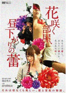 雾港迷案影片画面